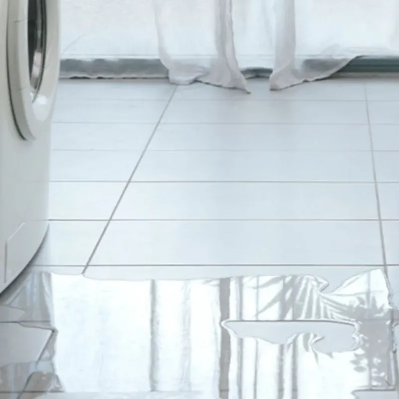 Appliance Leak Cleanup in Plumas County, CA